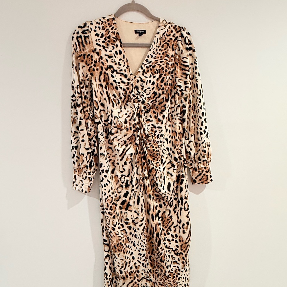 Express Animal Print Long Sleeve Dress